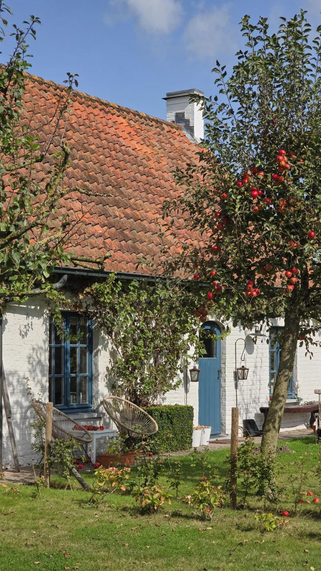 Boutique B&B Droomkerke Ruiselede Zewnętrze zdjęcie